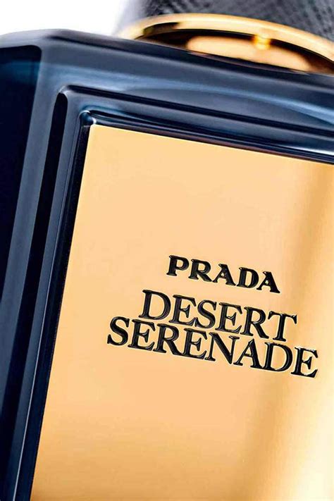 prada desert serenade price|Mirages Desert Serenade Prada for women and men.